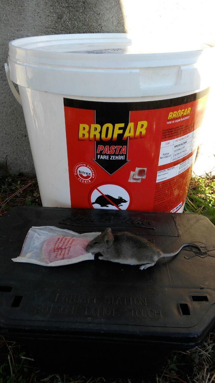 Brofar Pasta Fare Zehiri 1 Kg DefansMarket�de