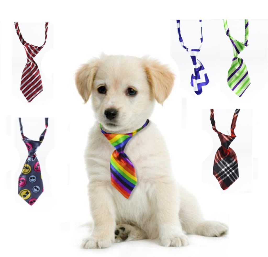 Renk Seçenekli Yıkanabilir Kedi Köpek Mini Kravatı