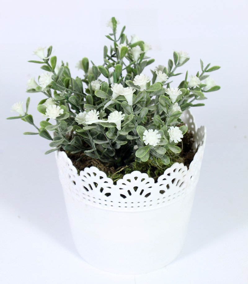 Dantelli Saksıda Yapay Kır Çiçekleri Pudralı 16cm Beyaz