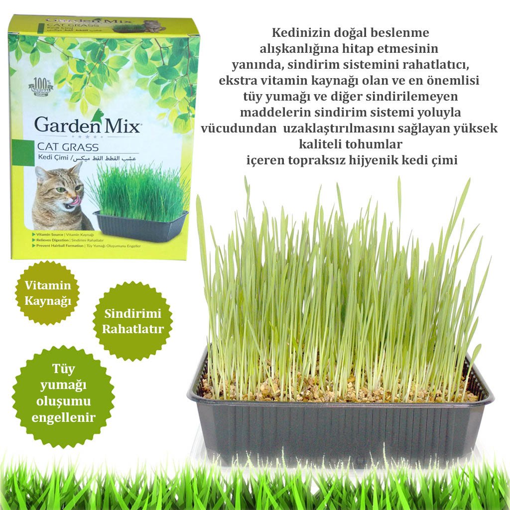 Garden Mix Kedi Çimi sadece 10,00 TL