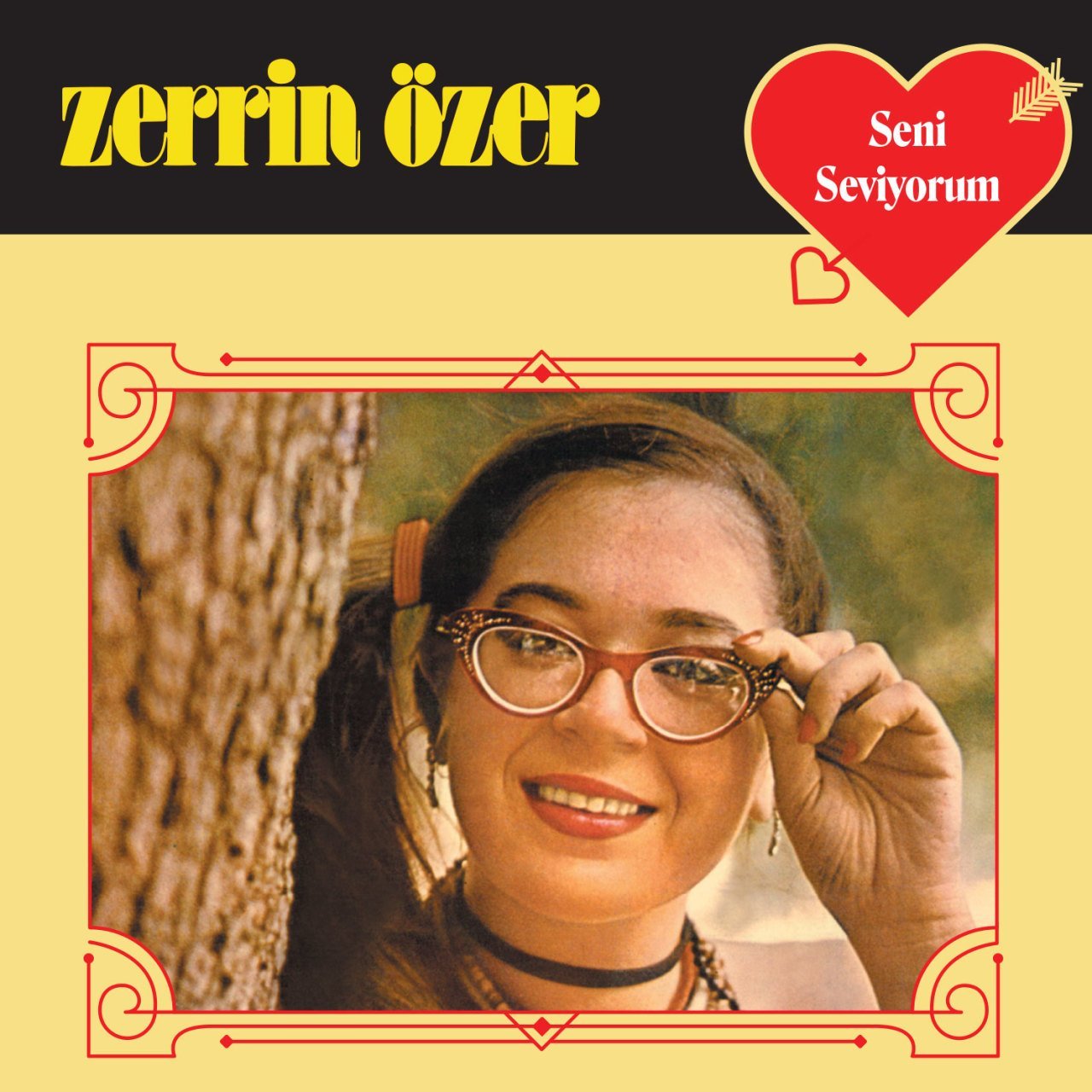 ZERRİN ÖZER - SENİ SEVİYORUM (1980) - PLAK SIFIR