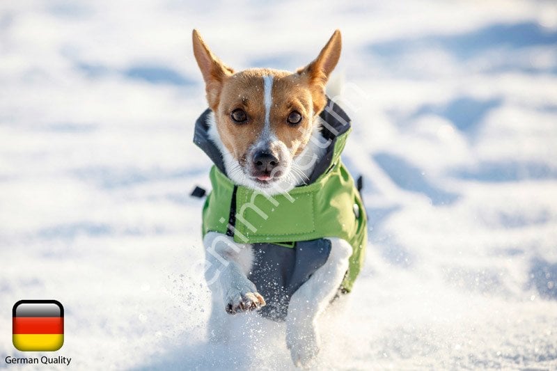 Kapşonlu Köpek Montu Vancouver KERBL