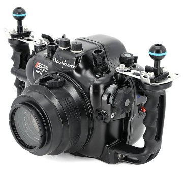 canon 6dmk11