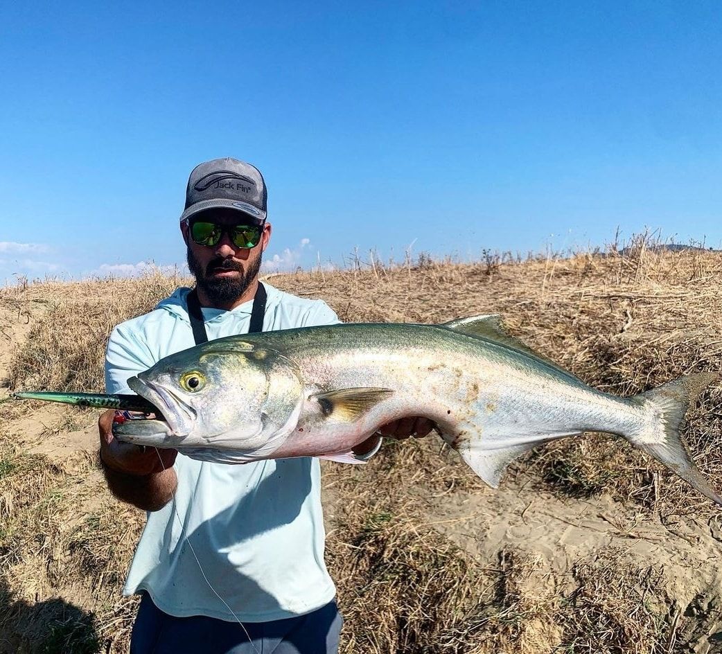 Jack Fin Stylo 210 Sahte Yem Barracuda Albino