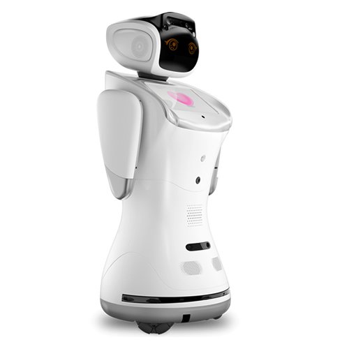 sanbot robot price