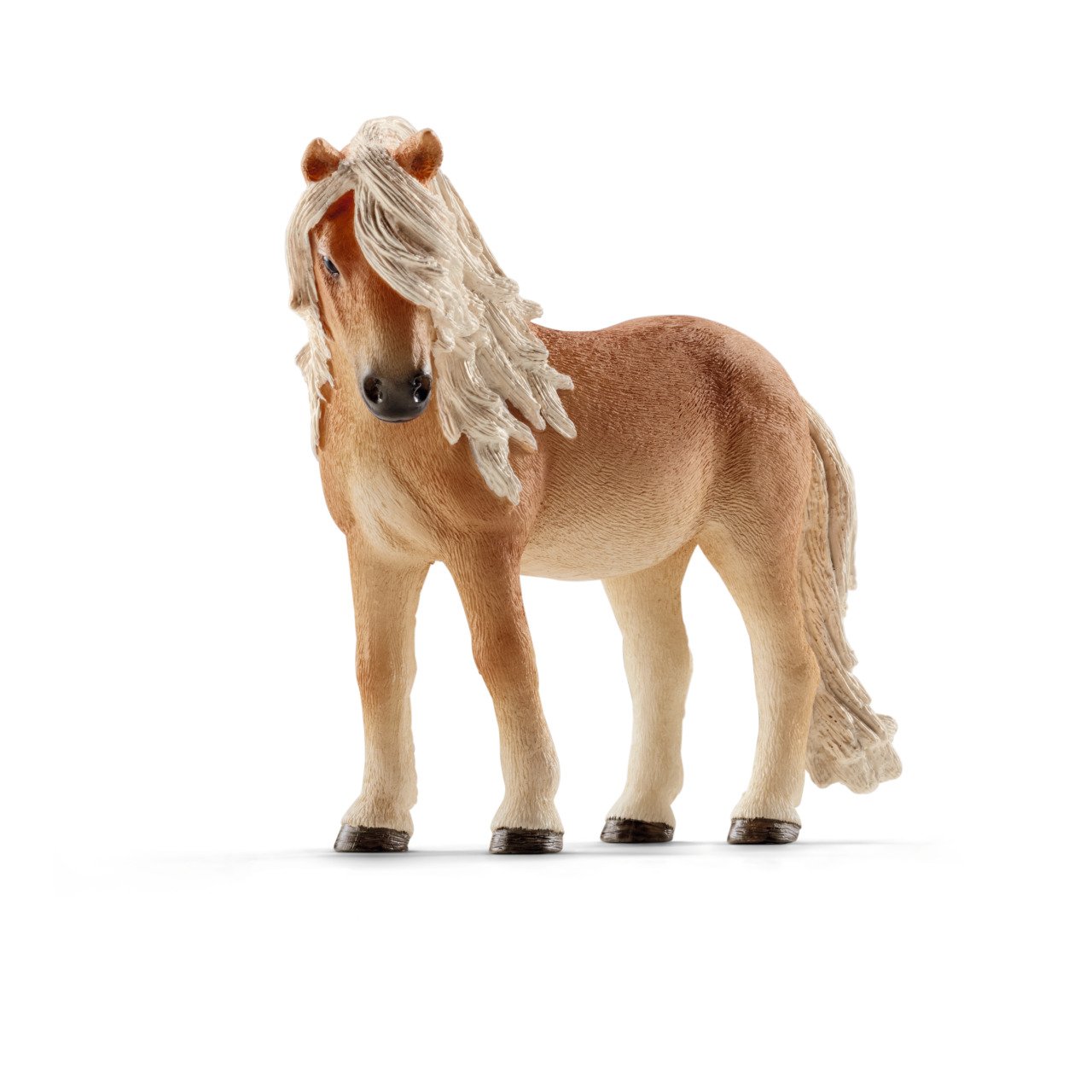 İzlandalı Pony Kısrağı