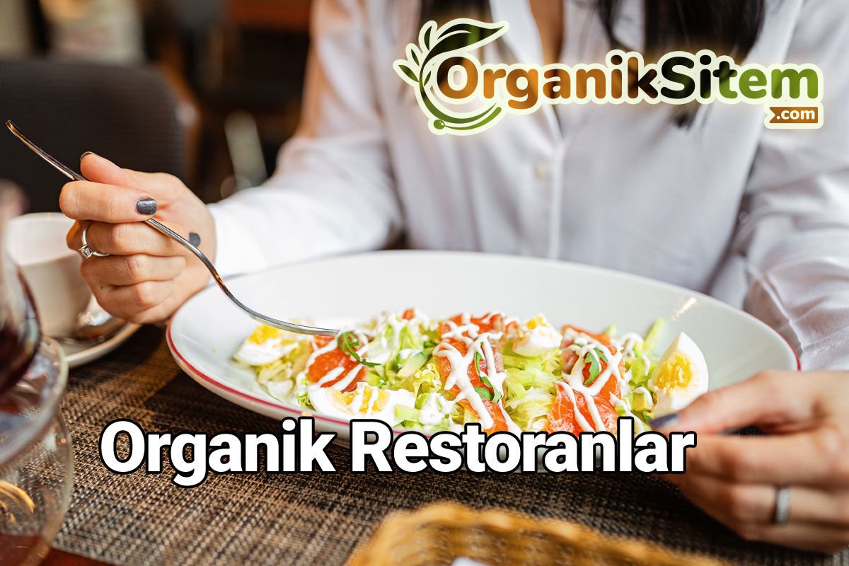 Organik Restoranlar