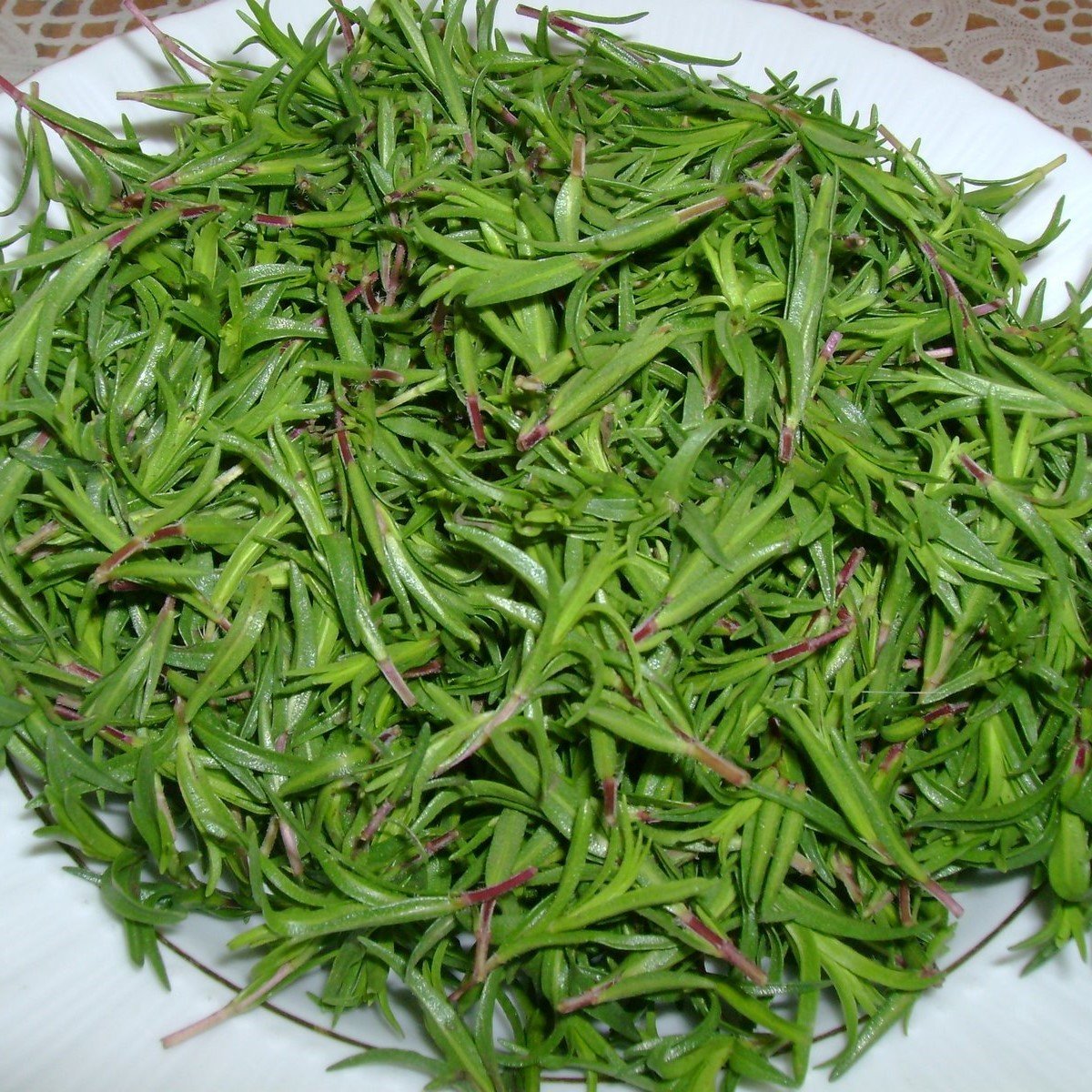 турецкая трава для чая фото и название