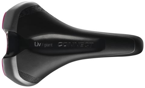 giant liv connect