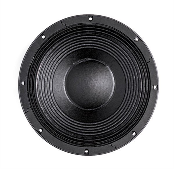 B&C 12TBX100 12 inç 1000/2000W Çıplak Sub Bass Hoparlör