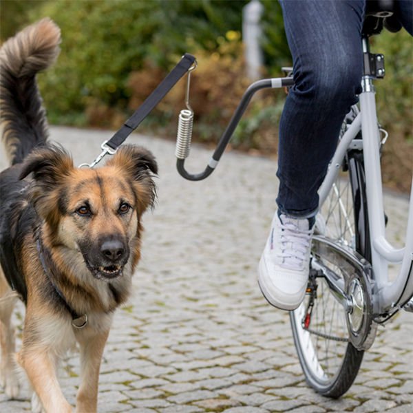 Trixie U Şeklinde Bisiklet İçin Köpek Yürütme Aparatı M-XL
