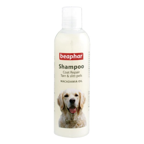 Beaphar Macadamia Yağlı Kıtık Giderici Köpek Şampuanı 250 ml