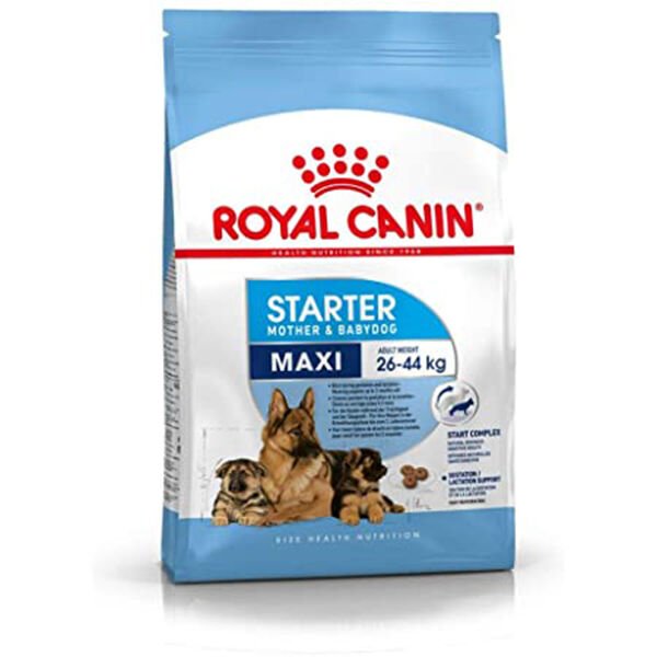 Royal Canin Maxi Starter Anne ve Yavru Köpek Maması 15 Kg
