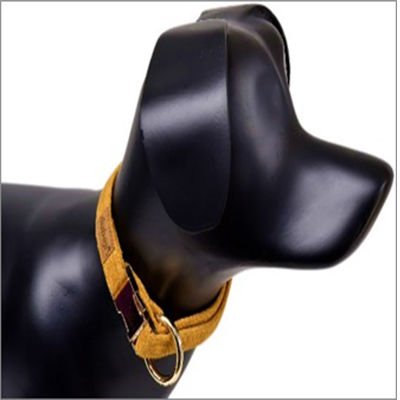 Dubex G-Dog Köpek Boyun Tasması Sarı S-M 27-44 Cm 15 Mm