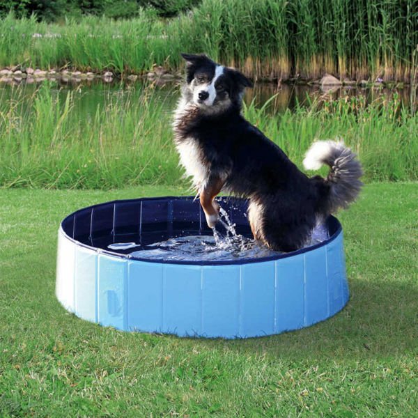 Trixie Dog Pool Köpek Havuzu 120x30 Cm
