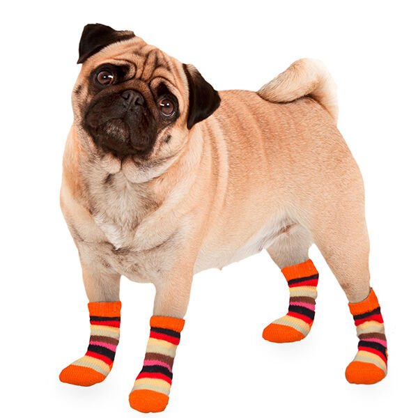 Karlie Köpek Çorabı S 2li