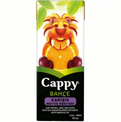 Cappy Tetra Karışık 200Ml