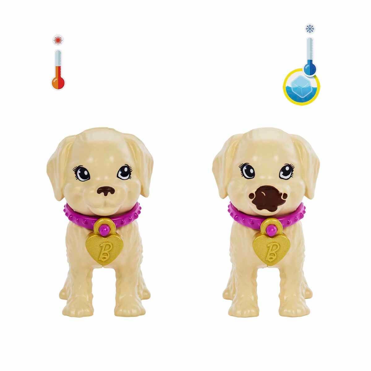 Barbie ve Köpekçikleri Oyun Seti HKD86 HKD85