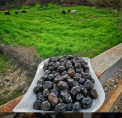 Siyah Zeytin