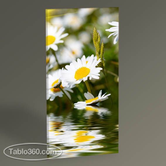 tablo 360