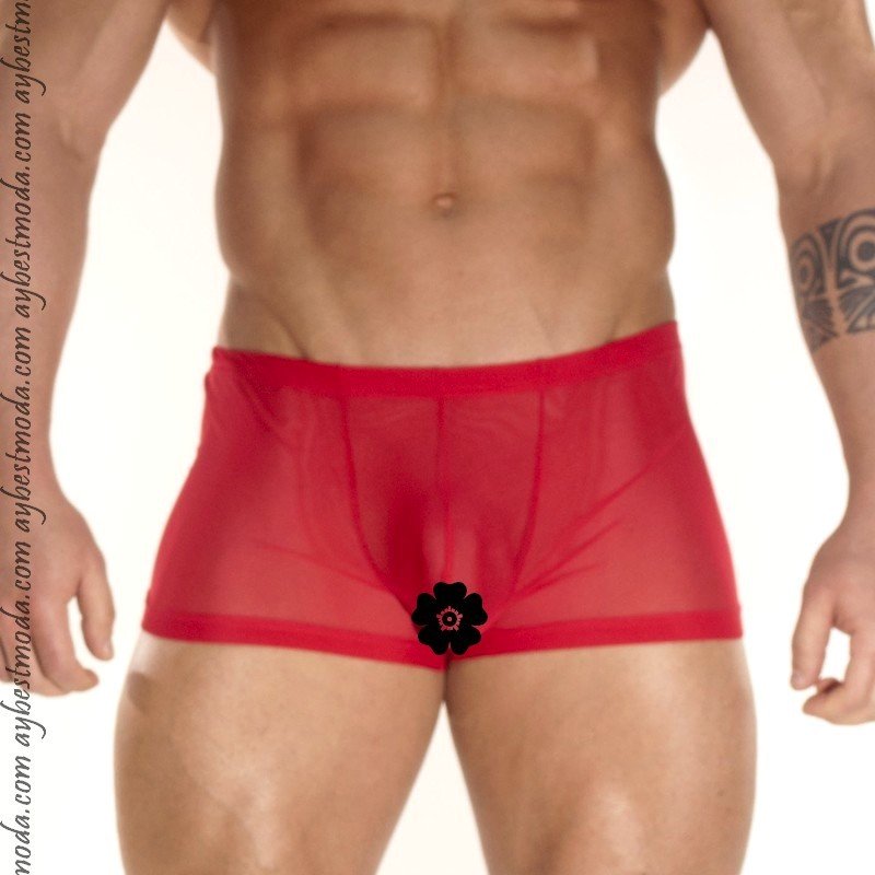 Transparan Erkek Boxer Abm5866 Aybestmoda