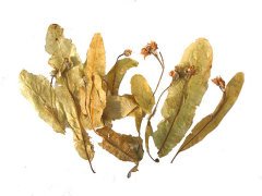 Yapraklı Kurutulmuş Ihlamur 1 kg