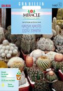 Miracle Karışık Kaktüs Bitkileri Çiçeği Tohumu (20 tohum)