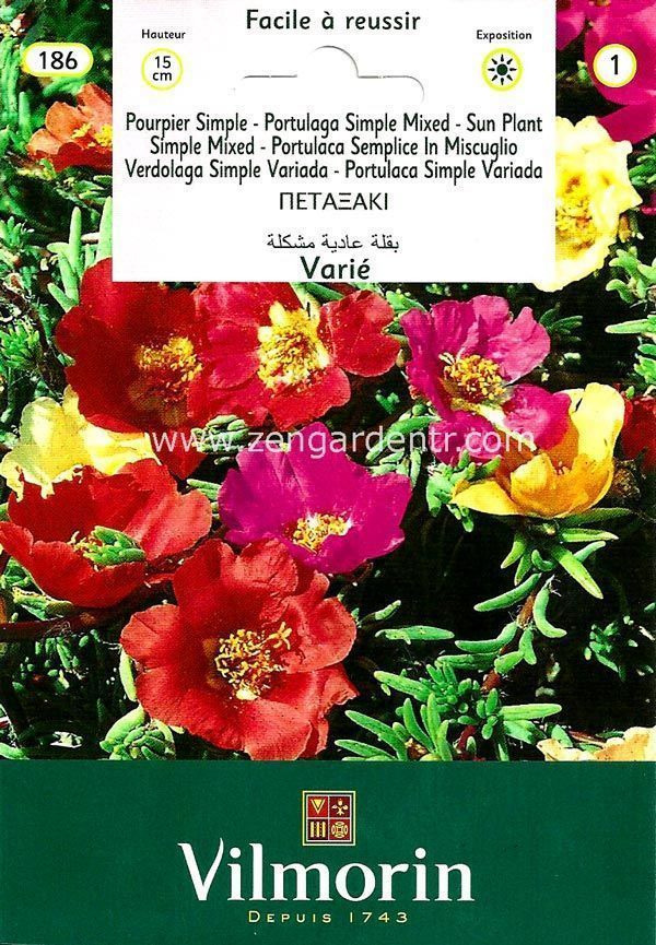 zengarden
