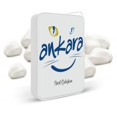 Kişiye Özel Ankara Beyaz Metal Çakmak - 001