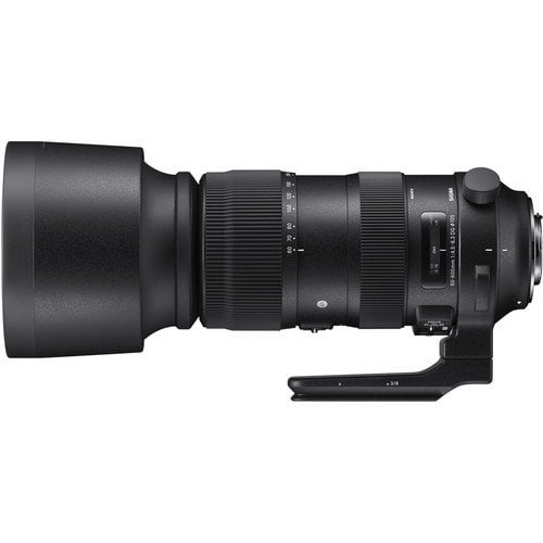 Sigma 60-600mm f/4.5-6.3 DG OS HSM Sports Lens (Nikon)