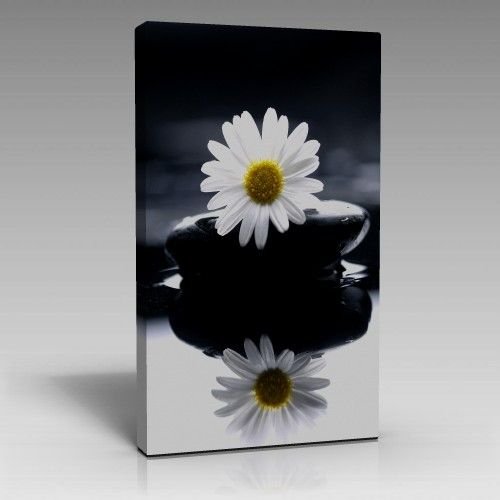 papatya tablo 40cm x 60cm