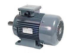 22 kw (30 HP) 1500 d/d Trifaze Elektrik Motoru