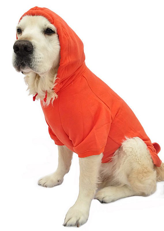 Kopek Buyuk Irk Sweatshirt Uddi Turuncu Petza