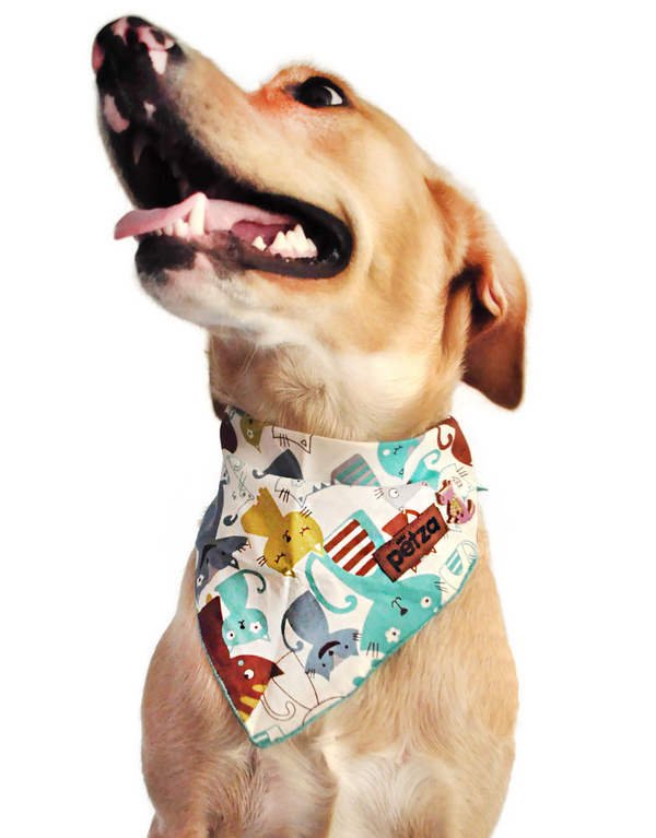 Kopek Bandana Kateri Petza